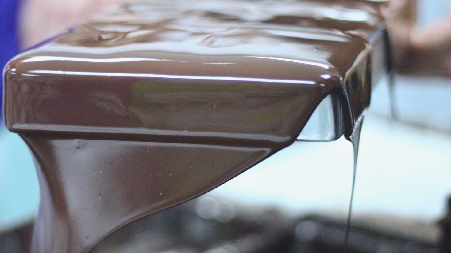 Workshop / Team Building