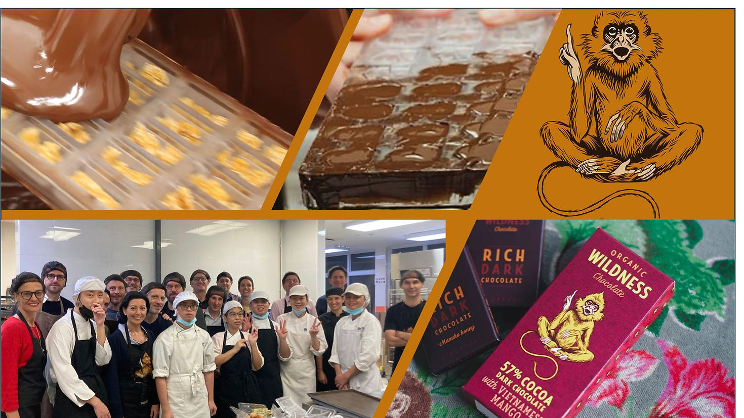 Workshop / Team Building