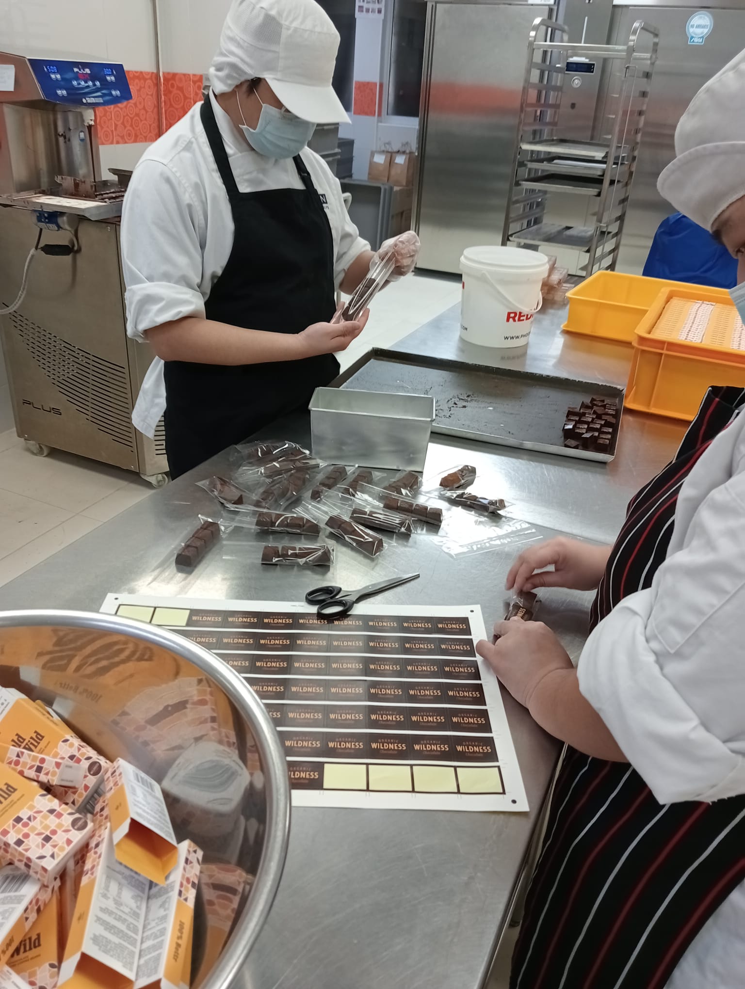 Workshop / Team Building