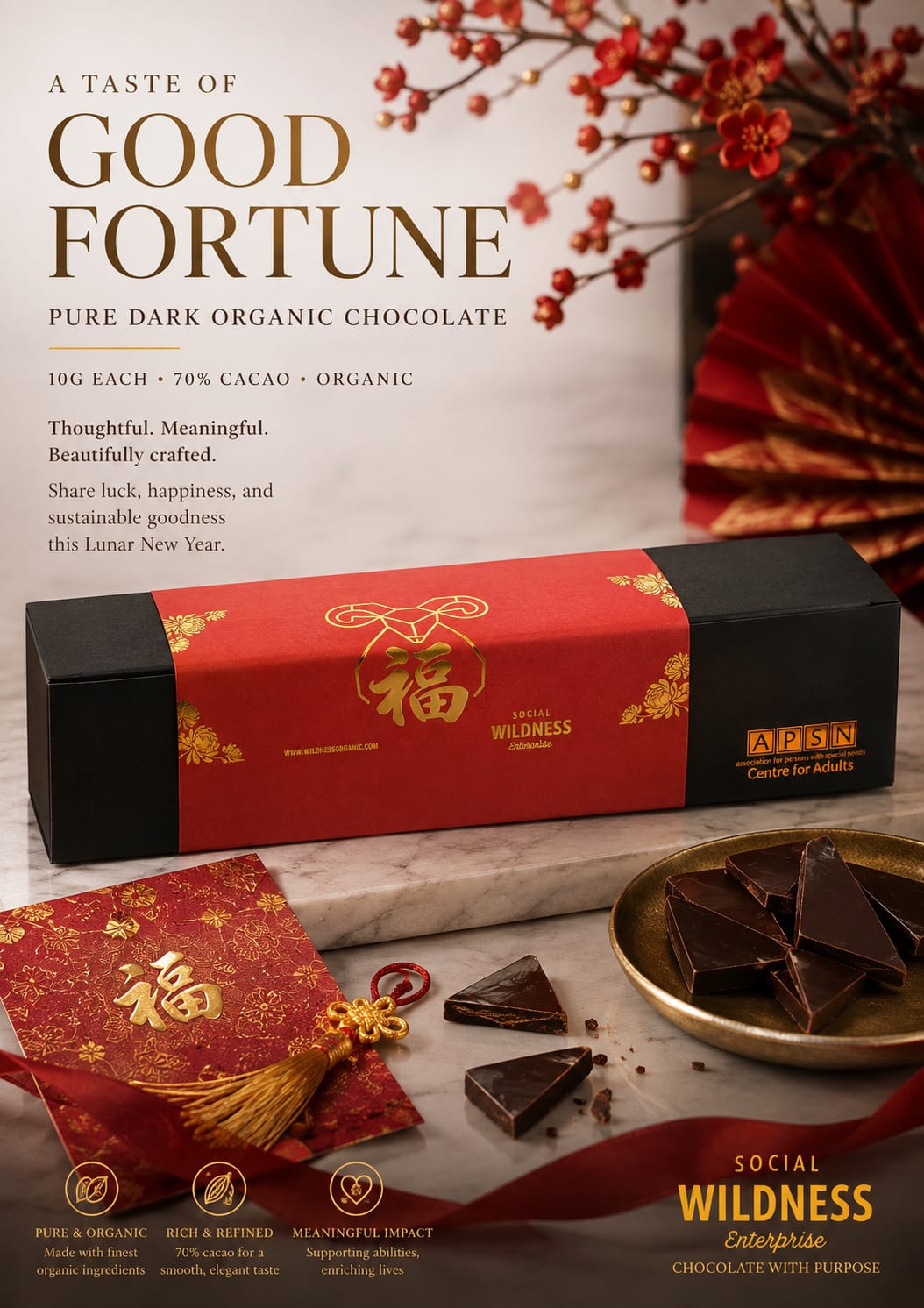 Chinese New Year Chocolate