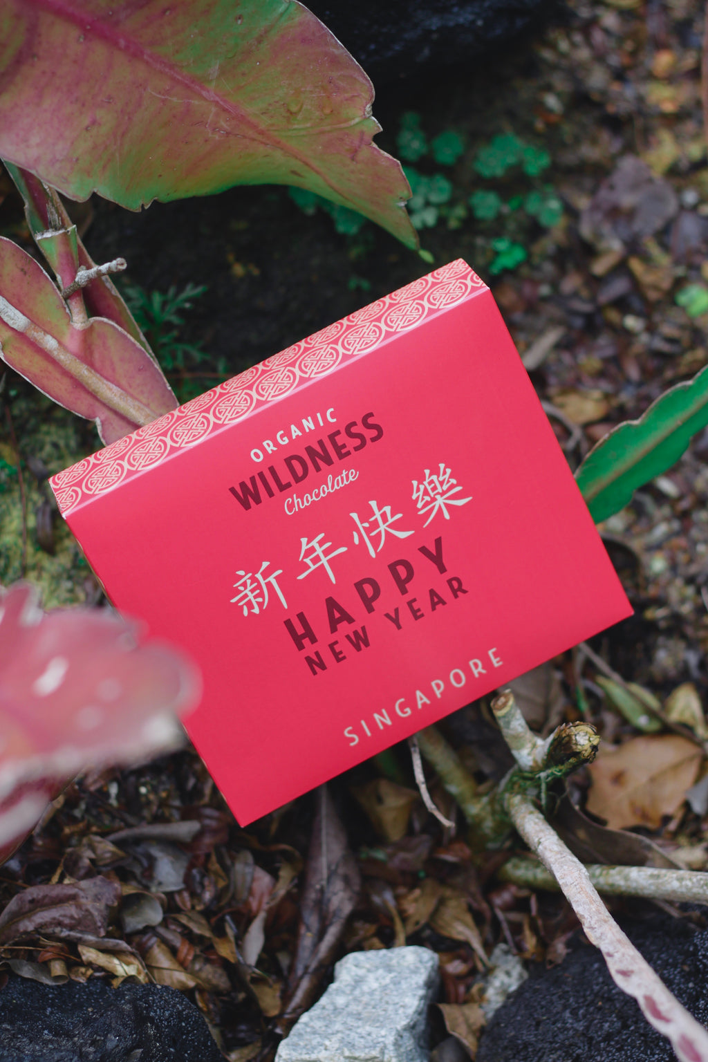 Chinese New Year gift box