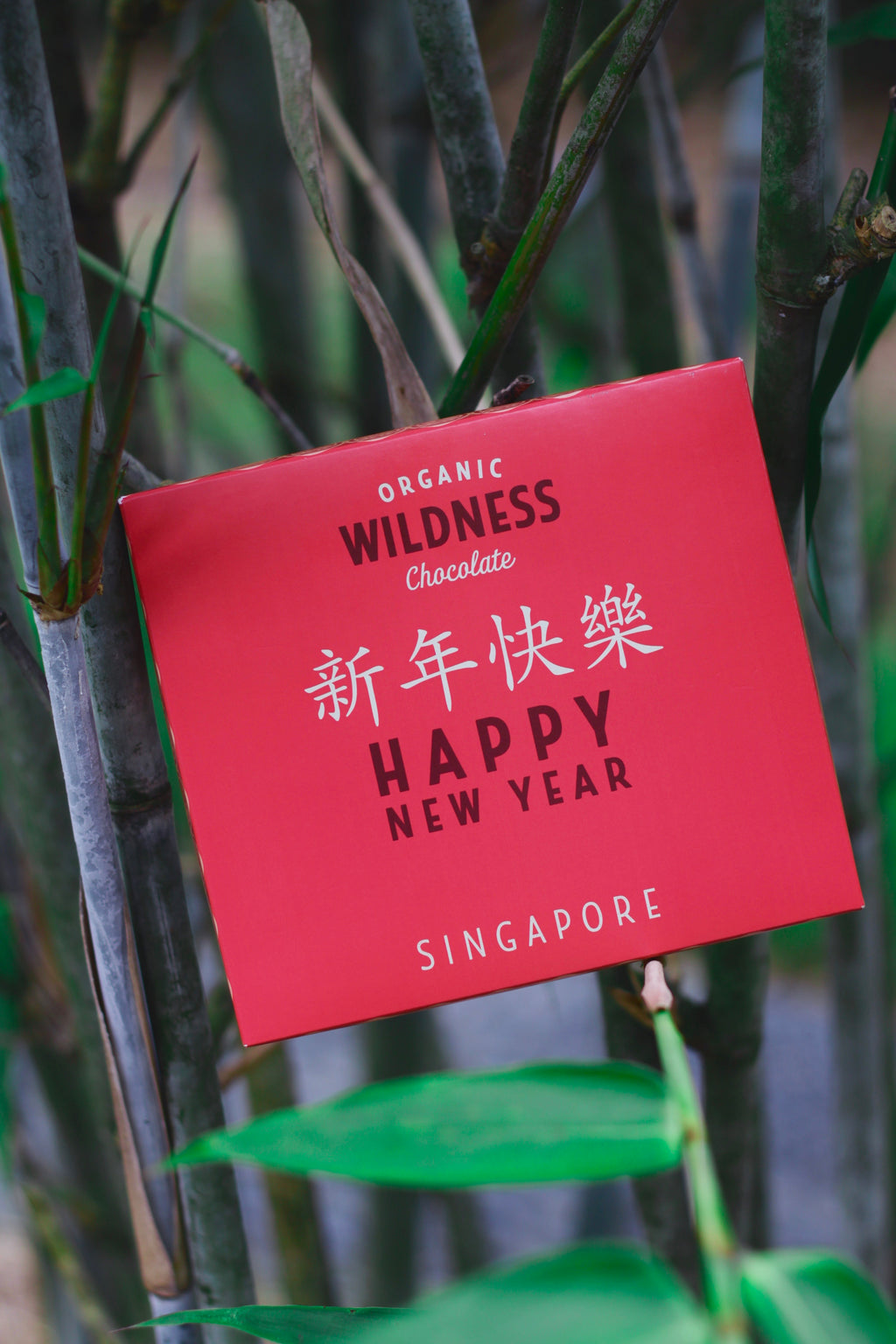 Chinese New Year gift box