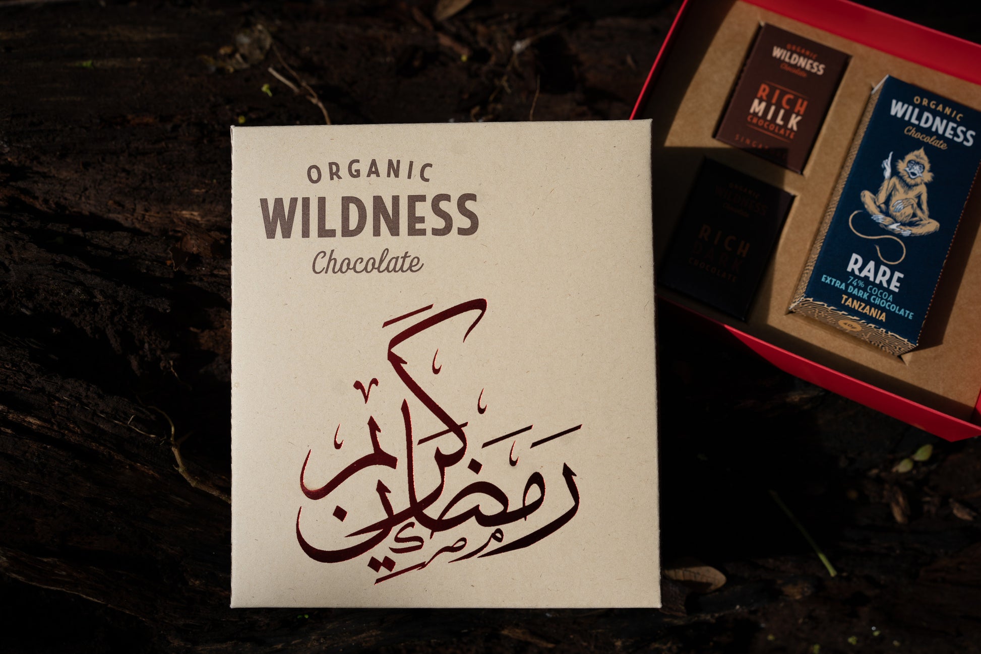 Dates Dipped in 74% Dark Chocolate