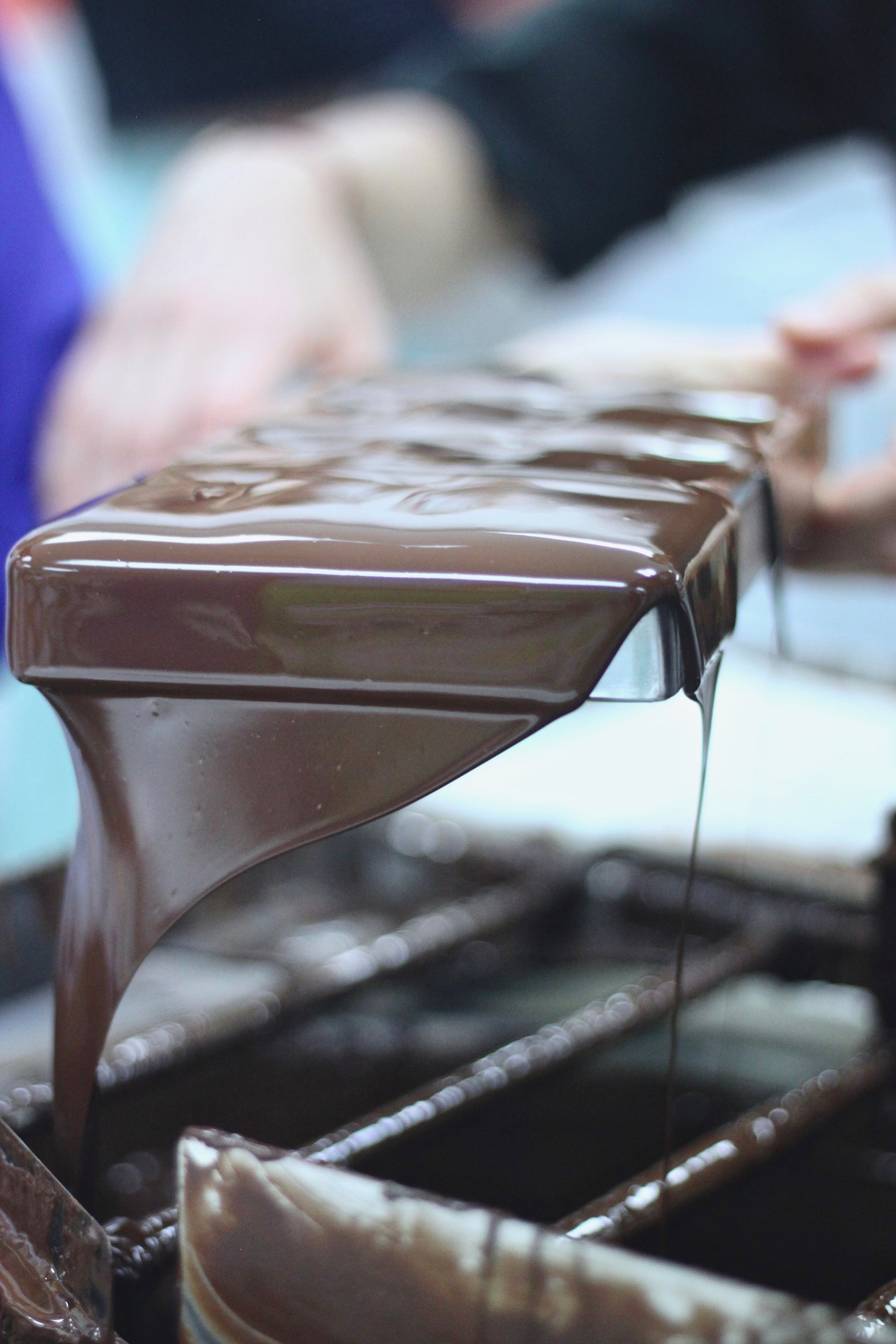 Workshop / Team Building